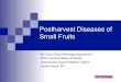 Postharvest Diseases of  Small Fruits