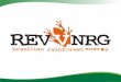 Apresentação do Negócio RevvNRG