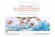 Patologías, técnicas quirúrgicas e instrumentación. Curso Teórico-Práctico