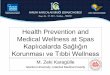 ZEKI KARAGULLE - Health Prevention and Medical Wellness at Spas