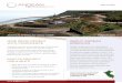 Andean American Gold (AAG) - Corporate Fact Sheet