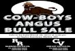 Cow-Boys Angus Bull Sale 2013
