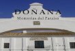 Doñana, Memorias del Paraiso