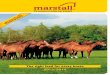 Marstall katalog english web