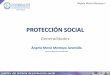 Protección social. Generalidades