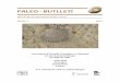 Paleo-Butlletí nº 4
