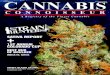 Cannabis Connoisseur Issue #2