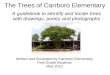 Carrboro Elementary Tree Book