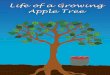 Life of a Growing Apple Tree
