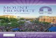 Mount Prospect IL Community Profile