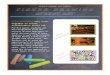PORTFOLIO - Elementary - Art Lesson - Transient Street Art Chalk Drawings (4-7-13)