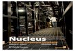 Nucleus Vol.2 Issue 2