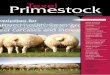 Texel Primestock Magazine 2014