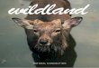 Wildland Magazine - ISSUE ONE - Natural Connection