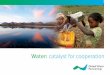 Water: catalyst for cooperation