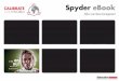 Datacolor spyder ebook nl 4, Geavanceerde instellingen voor uw beeldscherm