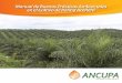 Manual de Buenas Prácticas Ambientales en Palma Aceitera