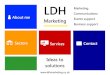 LDH Marketing Introductory Brochure 2013