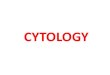 2- Cytology
