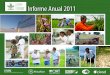GRiSP Informe Anual 2011