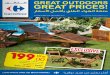 Carrefour great outdoor offers