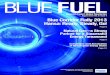 Blue Fuel Newsletter | August 2013 | Vol. 6 | Issue 4