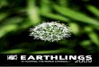 Earthlings 2009