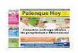 Palenque Hoy Lunes 12 de Octubre