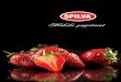 Spilva product catalogue 2014/2015