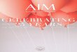 AIM #4: Anniversary Issue