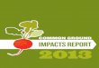 Common Ground Impacts Report 2013