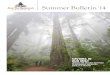 BULLETIN: Save the Redwoods League Summer Bulletin 2014