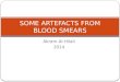 Some artefacts from blood smears