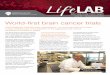 Lifelab Issue 89