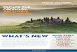 Insight Vacations 2015 Europe What's New!