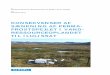 Konsekvenser af sankning af permafrostspejlet