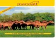 Marstall katalog dutch web