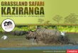 Grassland Safari â€Kaziranga