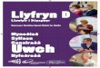 Llyfryn D - Uwch