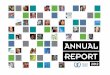 PCI Annual Report 2012
