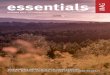 Essentials Mag, Rossett, October 2014