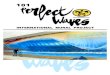 101 PERFECT WAVES - By Hilton Alves