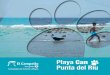 Playa can El Campello, Alicante