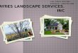 Residential and Commercial services