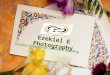 Fine Art Photography for Your Wedding
