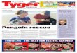 Tygerburger Tableview 20141126