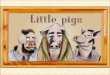 Little pigs francisco lanca