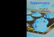 Tupperware Fall/Holiday Catalog 2014
