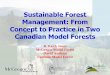 Cep 2003 10 prsnttn sustainableforestmanagementformconcepttopracticeintwocanadianmodelforest ppt6