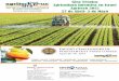 Programa Agricultura Intensiva en Israel Agritech 2015